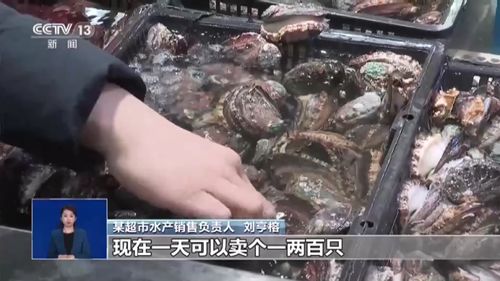 大食物觀 水產養殖產業如何托起舌尖上的小幸福