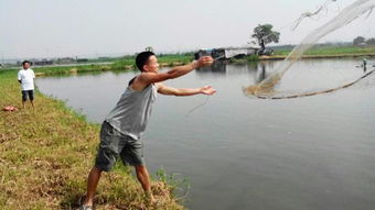 千年古郡·幸福南海 水產品養殖的傳承與創新