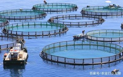 水產養殖迎來大考 國家定調綠色養殖，水產品養殖業轉型升級